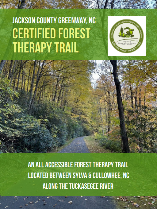 forest-therapy-brochure