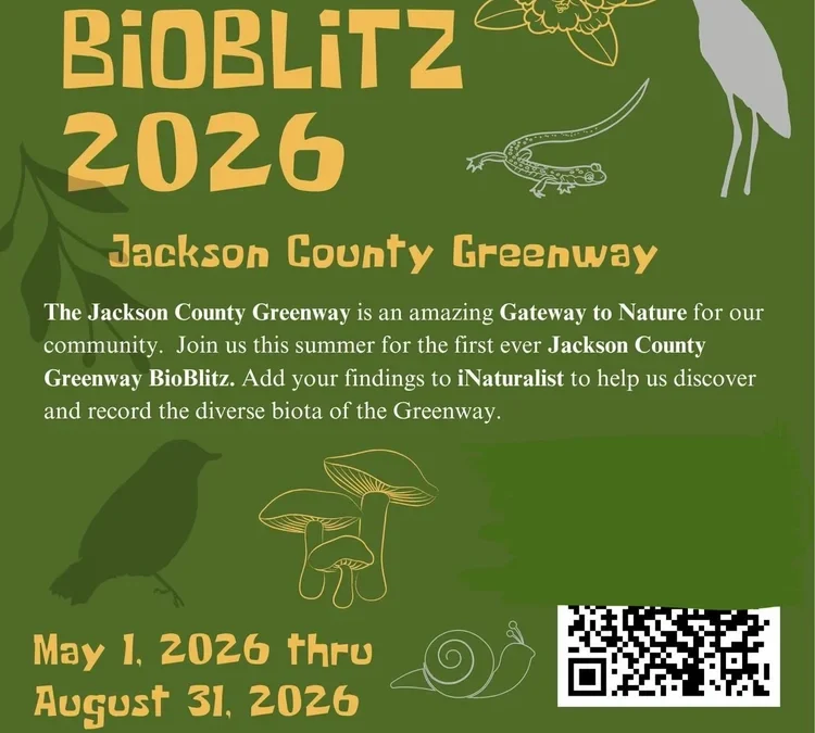 BioBlitz on the Greenway: May-August 2026