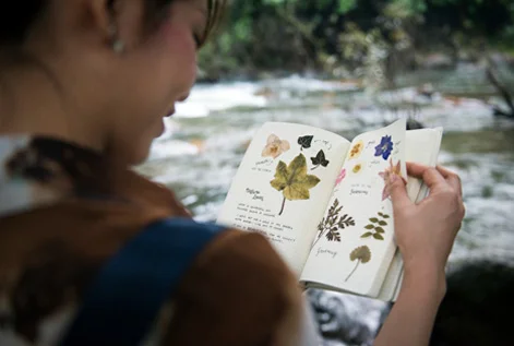 Seasonal Transitions: A Gratitude Nature Journaling & Sketch Walk